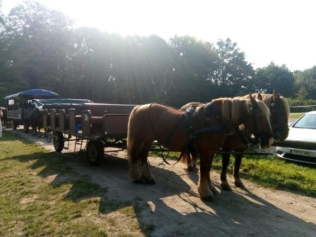 2019 - Europe Conference, Bremen, Germany