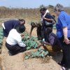 Zambia_2010_31